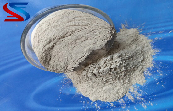 �X�\������|���X����|���ϏS�҈D