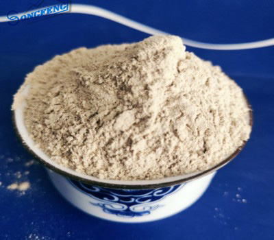 �X�\��|���X���ۏS�҈D